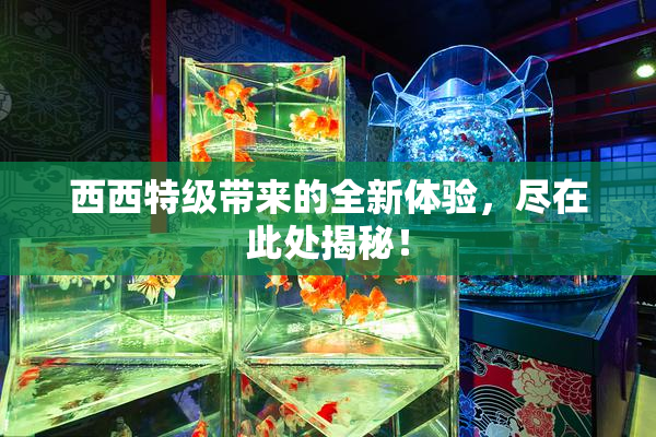 西西特级带来的全新体验，尽在此处揭秘！