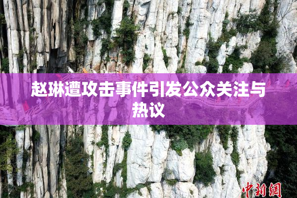 赵琳遭攻击事件引发公众关注与热议