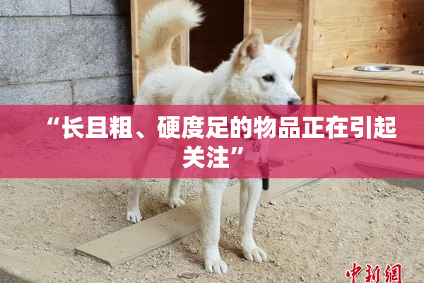 “长且粗、硬度足的物品正在引起关注”