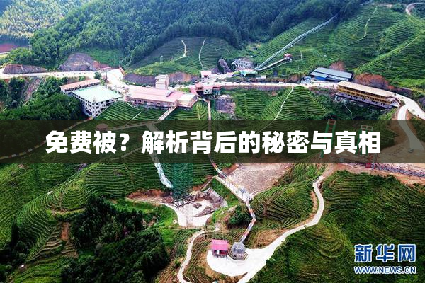 免费被？解析背后的秘密与真相