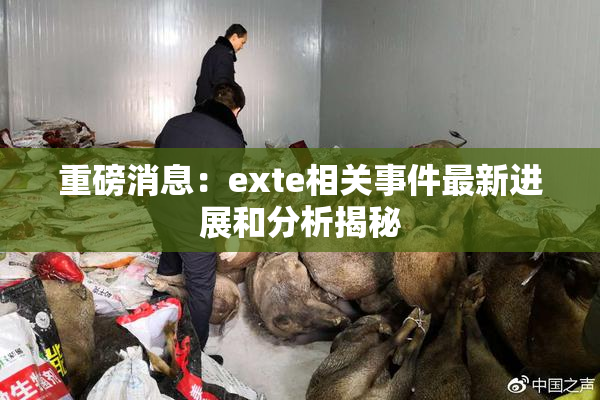 重磅消息：exte相关事件最新进展和分析揭秘