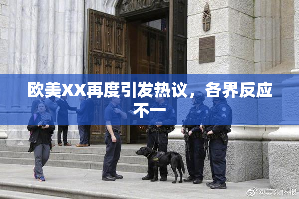 欧美XX再度引发热议，各界反应不一