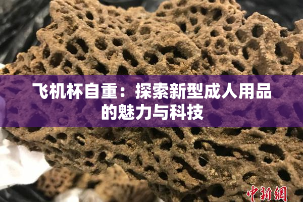 飞机杯自重：探索新型成人用品的魅力与科技
