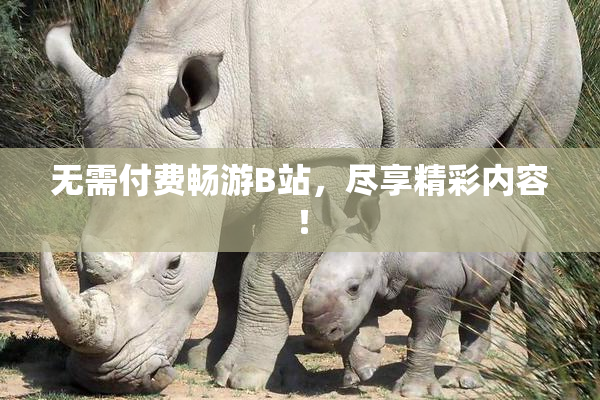 无需付费畅游B站，尽享精彩内容！