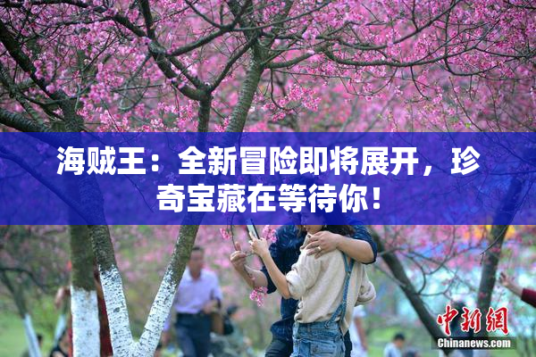 海贼王：全新冒险即将展开，珍奇宝藏在等待你！