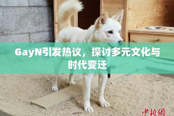 GayN引发热议，探讨多元文化与时代变迁