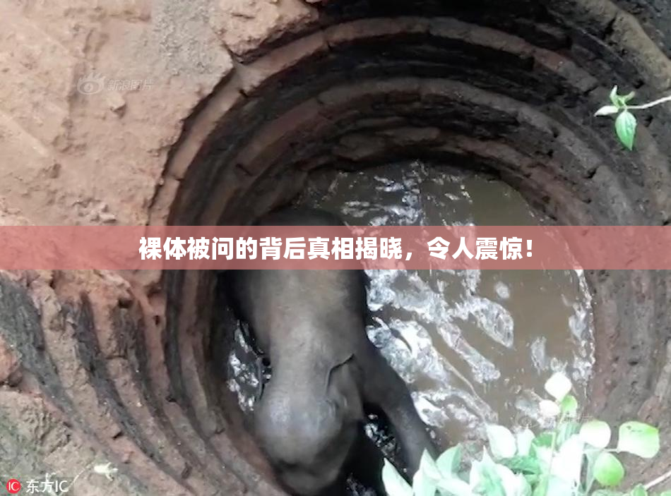 裸体被问的背后真相揭晓，令人震惊！