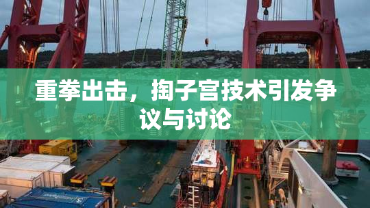 重拳出击，掏子宫技术引发争议与讨论