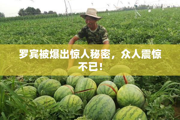 罗宾被爆出惊人秘密，众人震惊不已！