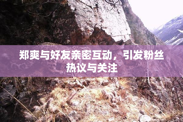 郑爽与好友亲密互动，引发粉丝热议与关注