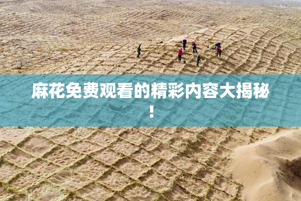麻花免费观看的精彩内容大揭秘!