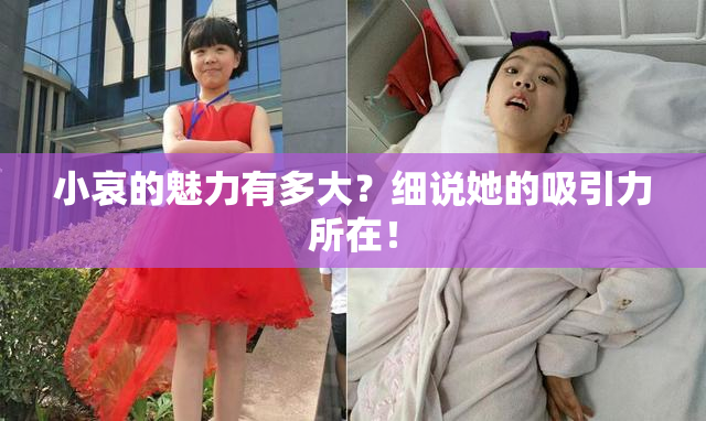 小哀的魅力有多大？细说她的吸引力所在！