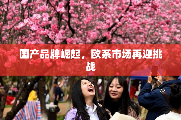 国产品牌崛起，欧系市场再迎挑战