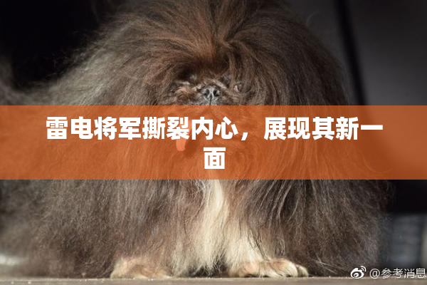 雷电将军撕裂内心，展现其新一面