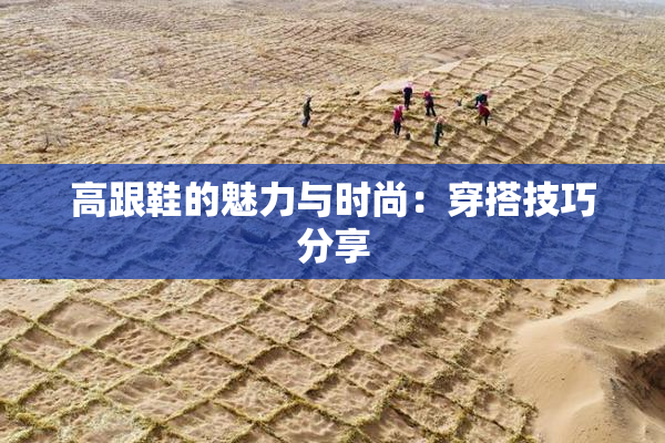 高跟鞋的魅力与时尚：穿搭技巧分享