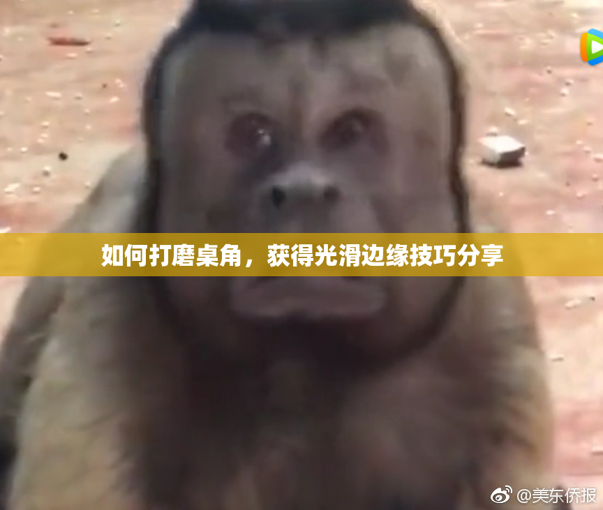 如何打磨桌角，获得光滑边缘技巧分享