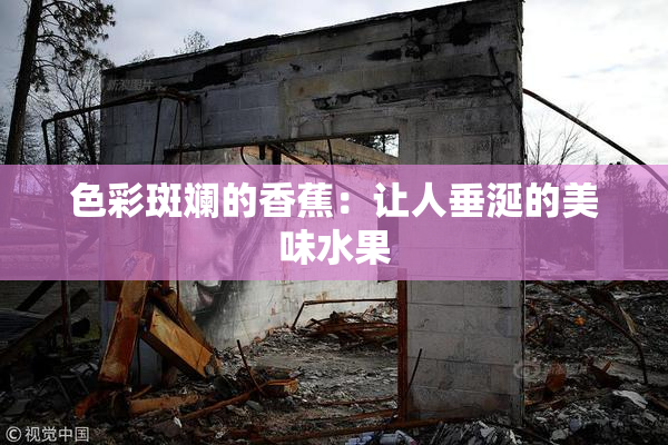 色彩斑斓的香蕉：让人垂涎的美味水果
