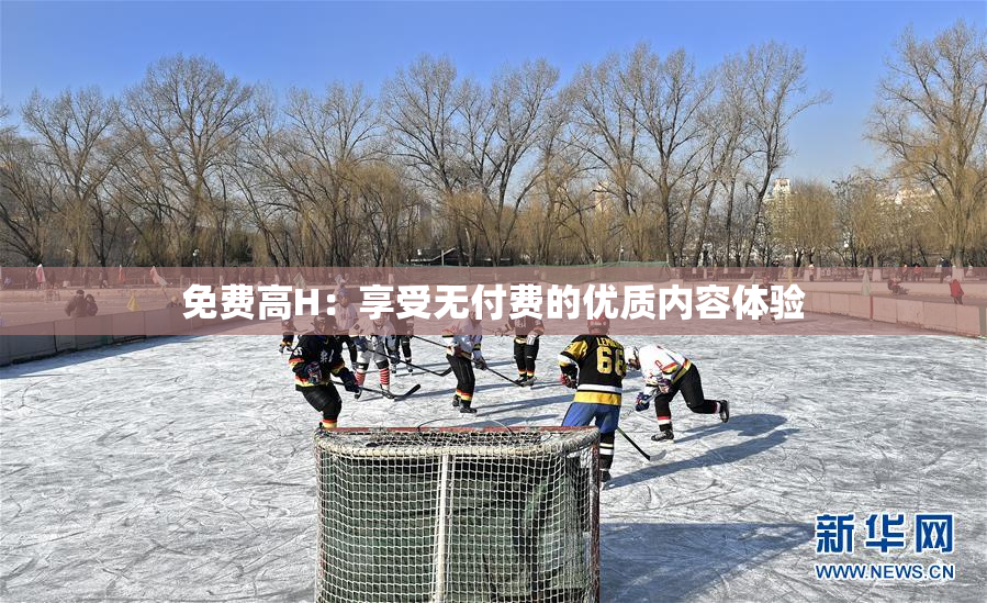 免费高H：享受无付费的优质内容体验