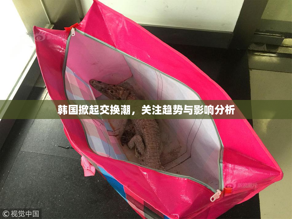 韩国掀起交换潮，关注趋势与影响分析