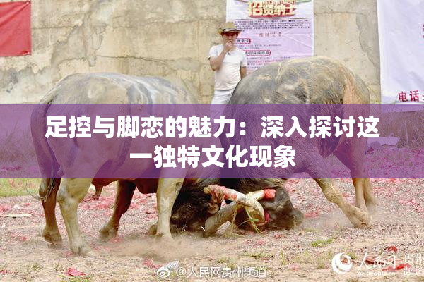 足控与脚恋的魅力：深入探讨这一独特文化现象