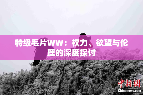 特级毛片WW：权力、欲望与伦理的深度探讨
