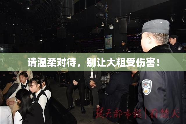 请温柔对待，别让大粗受伤害！