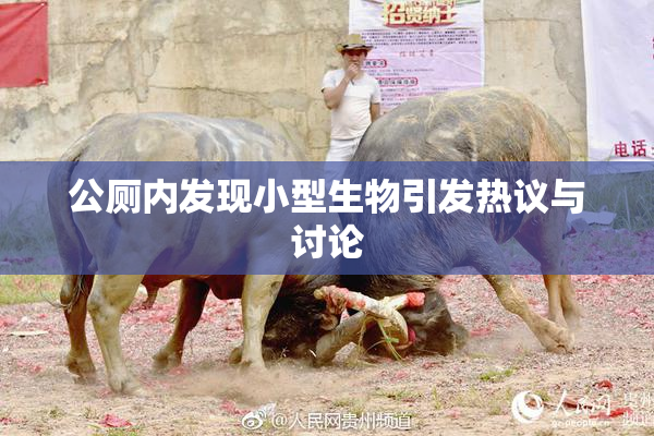 公厕内发现小型生物引发热议与讨论