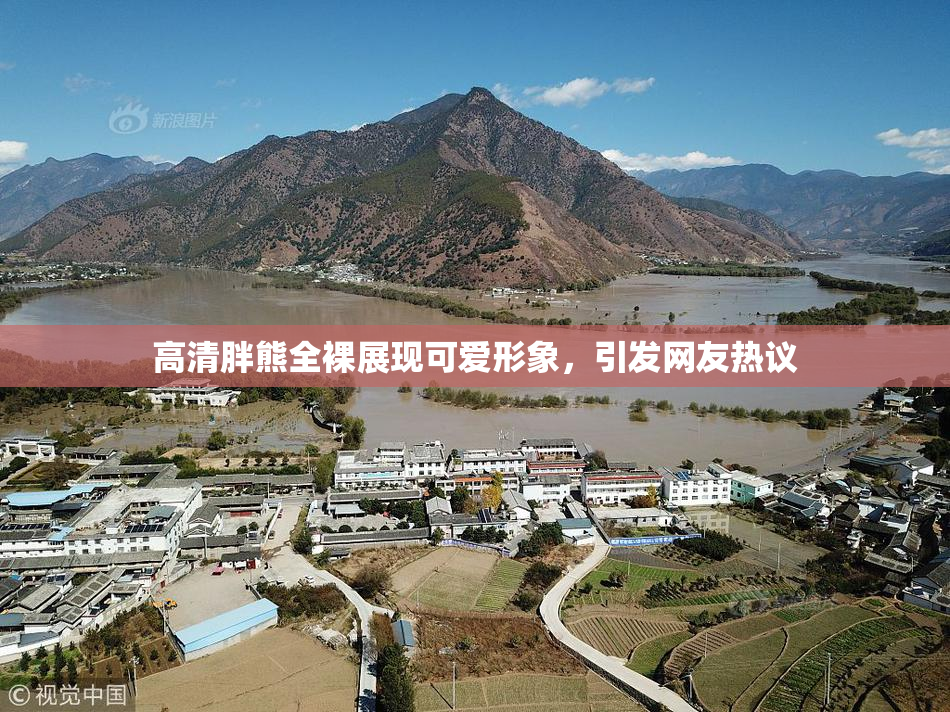 高清胖熊全裸展现可爱形象，引发网友热议