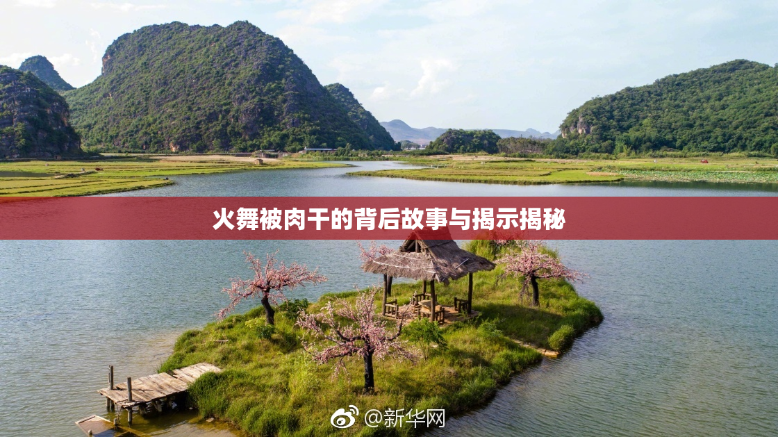火舞被肉干的背后故事与揭示揭秘