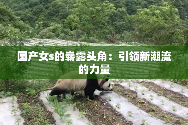 国产女s的崭露头角：引领新潮流的力量