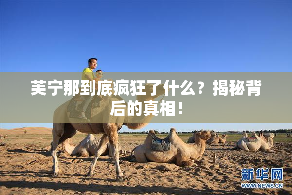 芙宁那到底疯狂了什么？揭秘背后的真相！