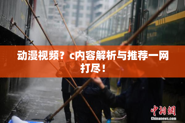 动漫视频？c内容解析与推荐一网打尽！