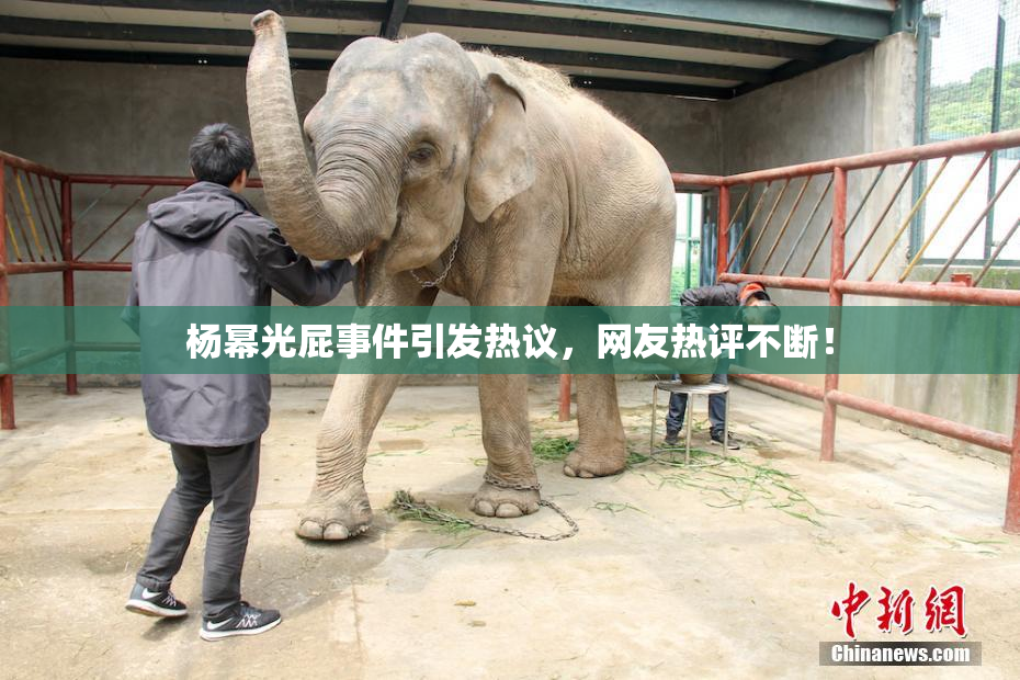 杨幂光屁事件引发热议，网友热评不断！