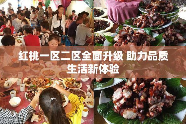 红桃一区二区全面升级 助力品质生活新体验