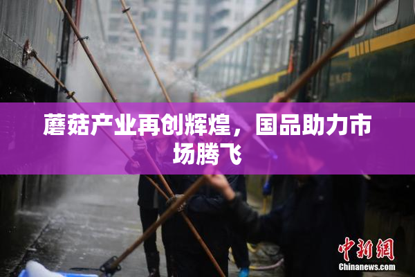 蘑菇产业再创辉煌，国品助力市场腾飞