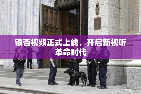 银杏视频正式上线，开启新视听革命时代