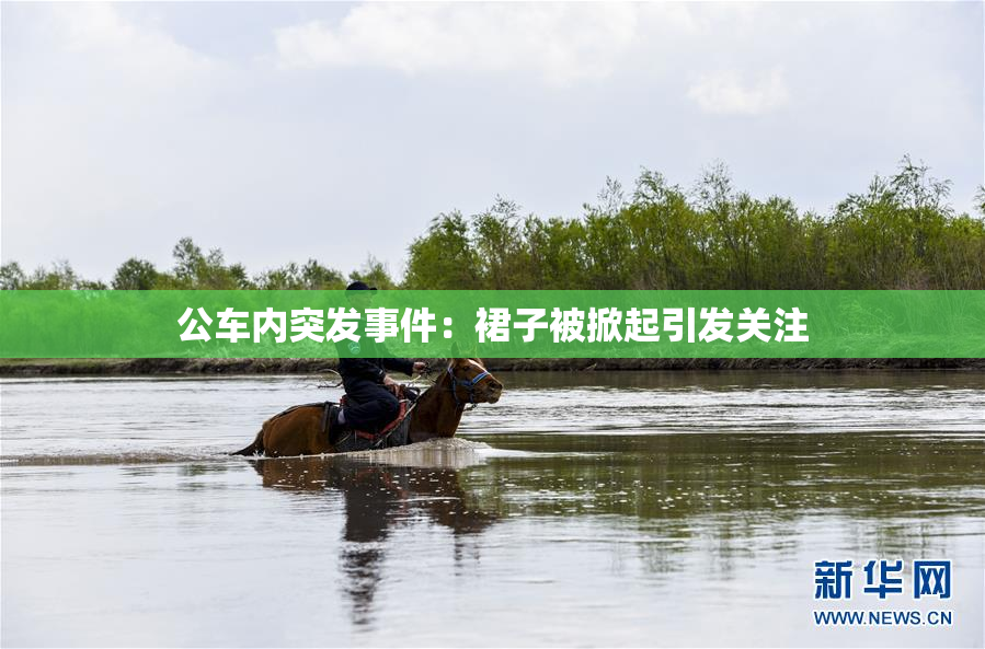 公车内突发事件：裙子被掀起引发关注