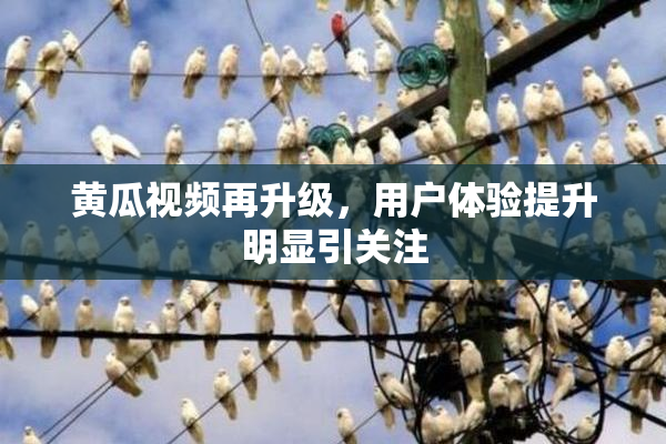 黄瓜视频再升级，用户体验提升明显引关注