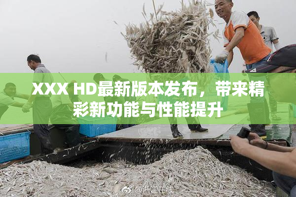 XXX HD最新版本发布，带来精彩新功能与性能提升