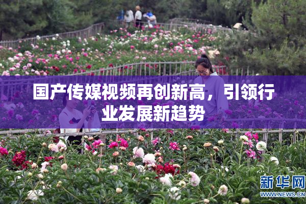 国产传媒视频再创新高，引领行业发展新趋势