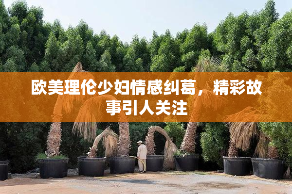 欧美理伦少妇情感纠葛，精彩故事引人关注