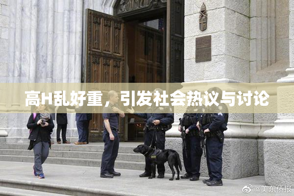 高H乱好重，引发社会热议与讨论