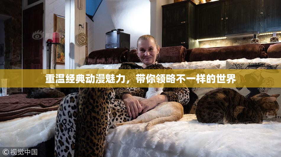 重温经典动漫魅力，带你领略不一样的世界