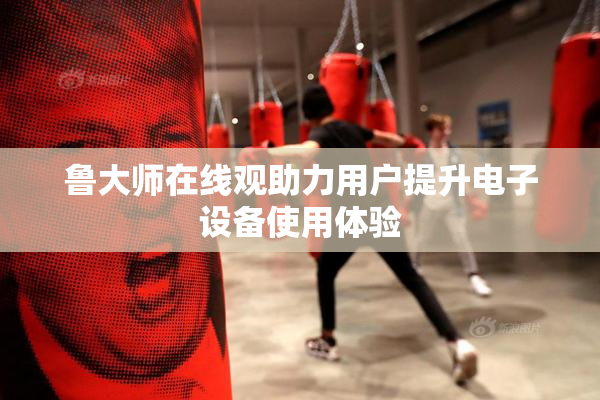 鲁大师在线观助力用户提升电子设备使用体验