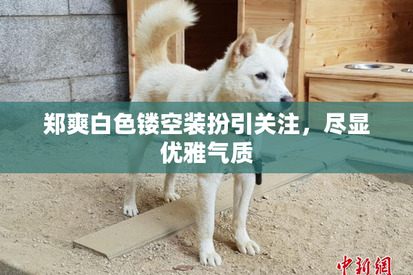 郑爽白色镂空装扮引关注，尽显优雅气质
