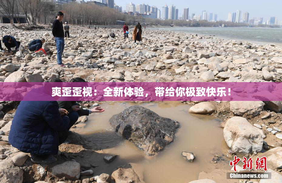 爽歪歪视：全新体验，带给你极致快乐！
