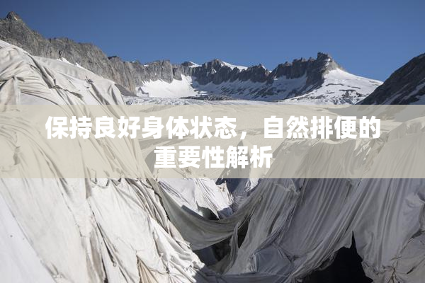 保持良好身体状态，自然排便的重要性解析