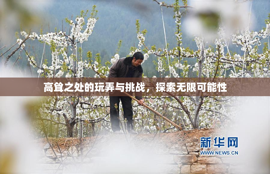 高耸之处的玩弄与挑战，探索无限可能性