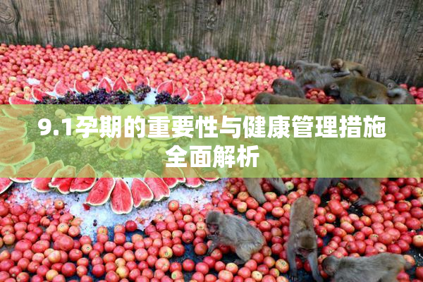 9.1孕期的重要性与健康管理措施全面解析