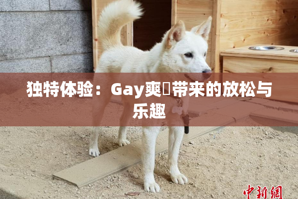 独特体验：Gay爽擼带来的放松与乐趣
